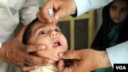 انځور له آرشیف څخه اخیستل شوی