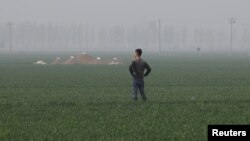 A man stands next to tombs in the field on the outskirts of Rongcheng county, one part of the new special economic zone Xiongan New Area, China, April 6, 2017.