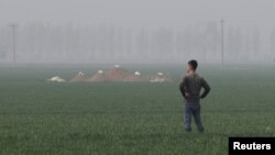 A man stands next to tombs in the field on the outskirts of Rongcheng county, one part of the new special economic zone Xiongan New Area, China, April 6, 2017. (REUTERS/Jason Lee)