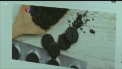 Eksperimen Makanan Berisi Arang Aktif