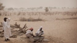 Reportage de Kassim Traoré, correspondant à Bamako pour VOA Afrique