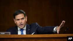 سناتور جمهوری‌خواه مارکو روبیو