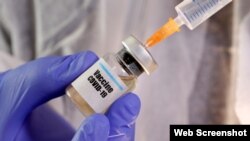 Seorang wanita memegang botol kecil berlabel stiker "Vaksin COVID-19" dan jarum suntik medis dalam ilustrasi ini diambil pada 10 April 2020. (Foto: REUTERS/Dado Ruvic)