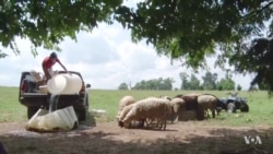 13-Year-Old Kurdish-American Boy Becomes Entrepreneur