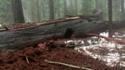 Many Parts of the US Experiencing Severe Weather