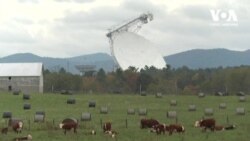 Зона тиші: Як живе місто, де немає мобільного зв’язку. Відео
