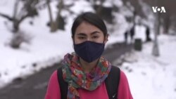 Kolumbiya Universiteti qaçqın tələbələrə yardım proqramı təklif edir