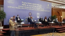 ለአጣሪ ጉባኤው የሕግ ባለሞያዎች ቃል ሰጡ