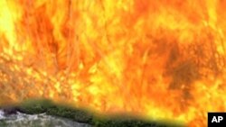 Unaltered agricultural raised fields in French Guyana that remain much as ancient Amazon farmers left them. The simulated background flames represent the European slash-and-burn agriculture that came afterward. 