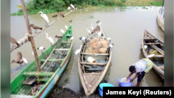 Lilian Atieno, a fishmonger, prepares fish at Dunga beach on the shores of Lake Victoria in Kisumu, Kenya March 18, 2020. (REUTERS/James Keyi)