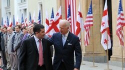 ბაიდენი საქართველოში, 2009 წელი