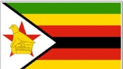 Taurai Shava Reports on Zimbabweans' Reflections of Independence Day