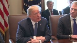 Trump Condemns Attack on Innocent Syrians