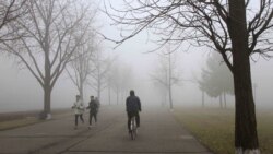 [인터뷰 오디오 듣기] 공우석 경희대학교 생물지리학과 교수