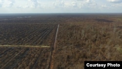 Lahan yang terbakar di lokasi PT APSL2, Riau (Foto courtesy: KLHK)