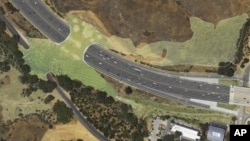 This undated artist's rendering provided by the Resource Conservation District of the Santa Monica Mountains shows a planned wildlife crossing over U.S. Highway 101 in Agoura Hills, Calif. (Clark Stevens, Architect/Raymond Garcia)