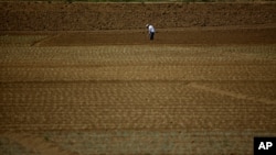 FILE - A farmer prepares the land to plant potatoes at a plantation in Cartago, Costa Rica April 27, 2018