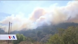 Međunarodni izvještaj: Klimatske promjene direktno će ugroziti zdravlje ljudi u budućnosti