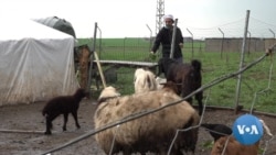 Turkey’s Purged Workers Carve Out New Life in Kurdish Region