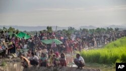 Pengungsi Muslim Rohingya yang baru tiba di Bangladesh beristirahat di sebuah lapangan terbuka. Mereka berkerumun karena tidak diperbolehkan memasuki kamp pengungsian oleh petugas perbatasan Bangladesh di Palong Khali, Bangladesh, 17 Oktober 2017.