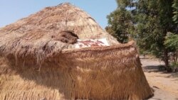 A family dries grains of groundnuts on top of a hut, Kai-Kai, northern Cameroon, Jan. 19, 2021. (Moki Edwin Kindzeka/VOA)