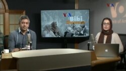 بي بي شیرینه – وي او اې ډيوه په ټیلې ویژن