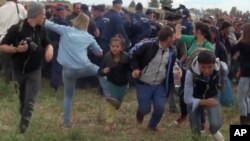 In this image taken from TV, a Hungarian camerawoman identified as Petra Laszlo, center left in blue, kicks out at a young migrant who had just crossed the border from Serbia near Roszke, Hungary, Sept. 8, 2015. 