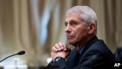 ექიმი ენტონი ფაუჩი - თეთრი სახლის უფროსი მრჩეველი მედიცინის საკითხებში