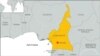 Suspected Boko Haram Insurgents Attack Cameroon Village