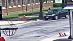 章莹颖案团结香槟市民