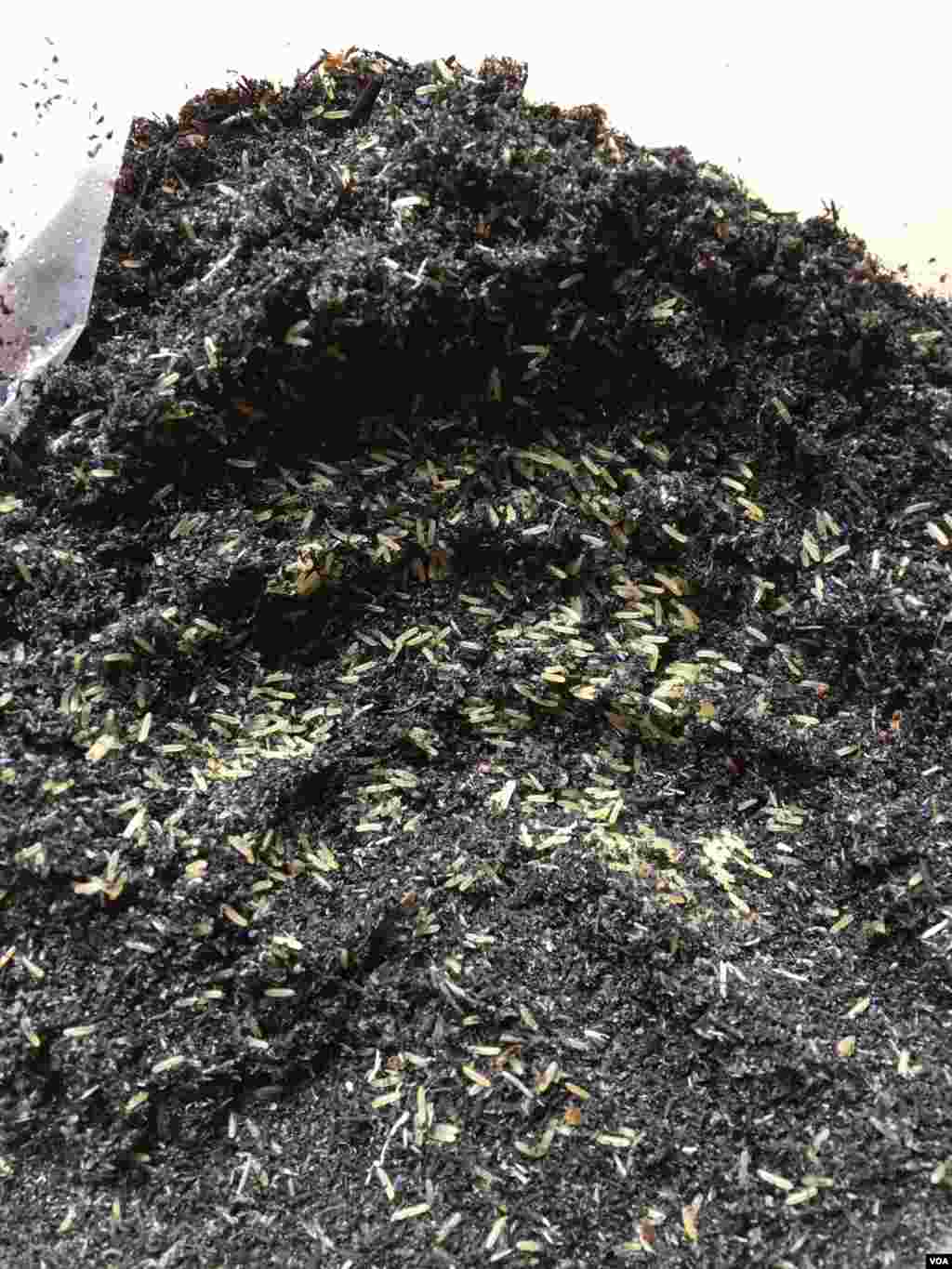 ពង​​ចង្រិត ប្រមូល​ទុក​សម្រាប់​លក់ មួយ​ចាន​បាន​ក្នុង​តម្លៃ ៥.០០០រៀល​ នៅ​ក្នុង​ភូមិ​ច្រាប ឃុំ​ដើមដូង ស្រុក​អង្គរជ័យ ខេត្ត​កំពត នៅ​ថ្ងៃ​ទី៧ ខែ​កុម្ភៈ ឆ្នាំ​២០១៧ ។ (សើ សាយ្យាណា/VOA)&nbsp;