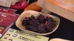 WANDA, Program Melek Gizi untuk Perempuan