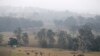Wildfires Scorch Australia