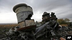 Delovi malezijskog aviona u Ukrajini