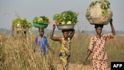Mais vegetais e fruta na dieta