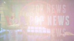 Donna Backues, Bunga Sakura, Tato Jepang dan Yacko (3)