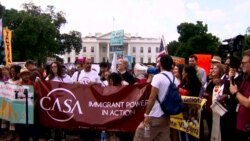 House Republicans Scramble to Avoid Immigration Fight