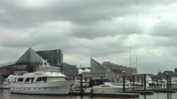 Amerikadagi o'zbeklar - Baltimore, Maryland - Uzbeks in America