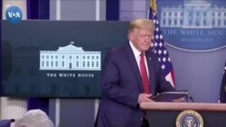 Tramp qayta saylana olarmikan?