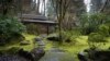 Japanese Gardens Bridge Indoor, Outdoor Space