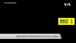 国际特赦组织年度报告指中共执行死刑人数最多