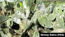 Security forces run from the site of a suicide attack after the second bombing in Kabul, Afghanistan. A double suicide bombing in central Kabul killed at least 26 people, including nine journalists. At least 50 people were wounded.