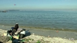 World’s Oceans in Decline