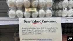 Јајца во продавница во Њу Џерси, 4 февруари 2025 година