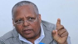 "ምላሻችንን እስካሁን ለቦርዱ አላክንም"- ፕሮፌሰር መረራ ጉዲና