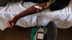 Reportage de Moki Edwin Kindzeka, correspondant à Yaoundé pour VOA Afrique