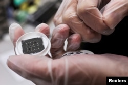 FILE PHOTO: FILE PHOTO: An engineer holds a chip while posing for a photo, he is in the middle of testing reactions from different materials and shapes that can have on the chip at the Taiwan Semiconductor Research Institute (TSRI) in Hsinchu