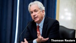 미 중앙정보국(CIA) 윌리엄 번스 국장이 의회에서 증언하고 있다. (자료사진)