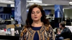 ۷ روز در یک نگاه