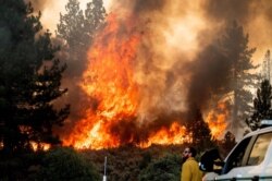 Firefighter Kyle Jacobson monitors the Sugar Fire, part of the Beckwourth Complex Fire, burning in Plumas National Forest, Calif., on July 9, 2021.